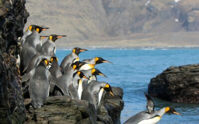 The day has FINALLY arrived!